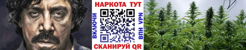 Как найти закладки Ленинградская ГАШ Альфа ПВП КОКАИН АМФ МАРИХУАНА Мефедрон