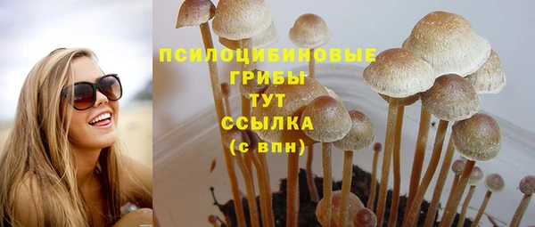 тгк Михайлов