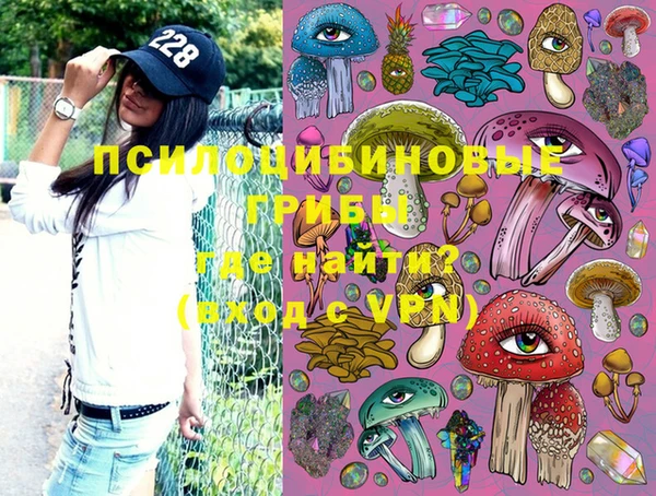 тгк Михайлов