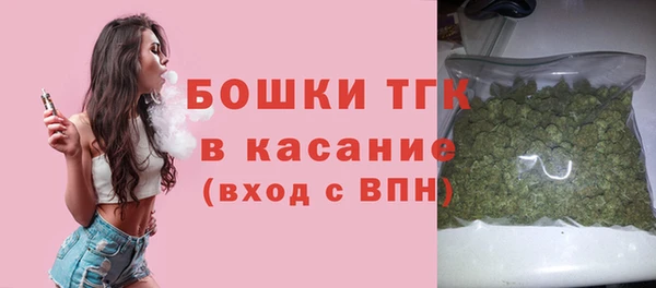 тгк Михайлов