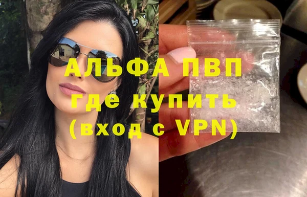 ECSTASY Чекалин