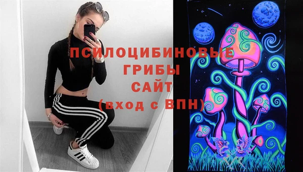 гидра Вяземский